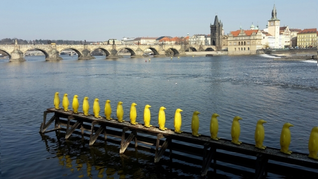 Auf der Moldau balancierende Pinguine in Prag 